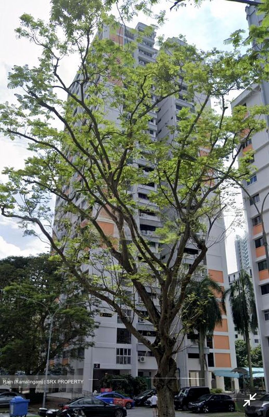 Blk 5 Delta Avenue (Bukit Merah), HDB 4 Rooms #547831571